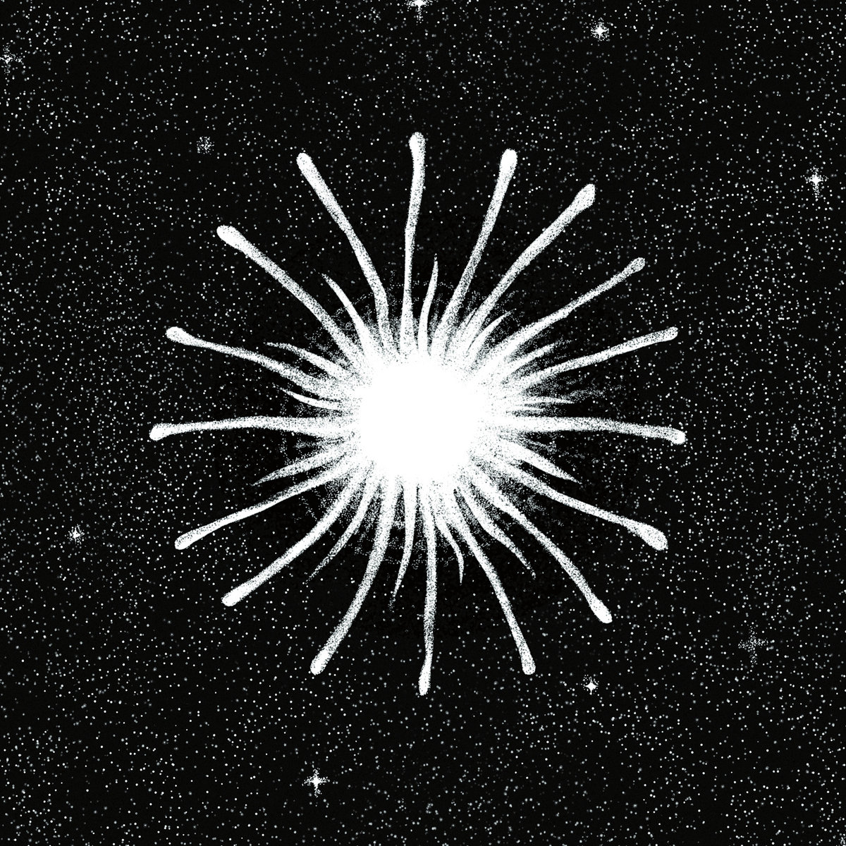 Wp header logo 6.png